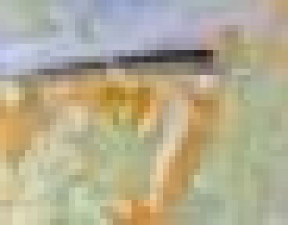 Marc Roy: Ohne Titel