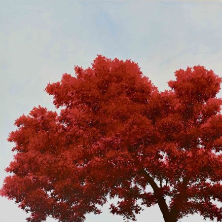Andreas Lüthi: Silhouette (roncorosso)