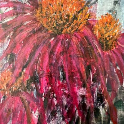 Echinacea