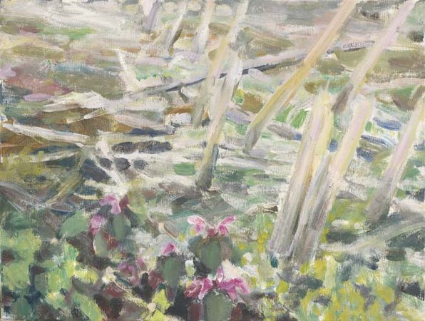 Katharina Haller: Acker mit Taubnessel