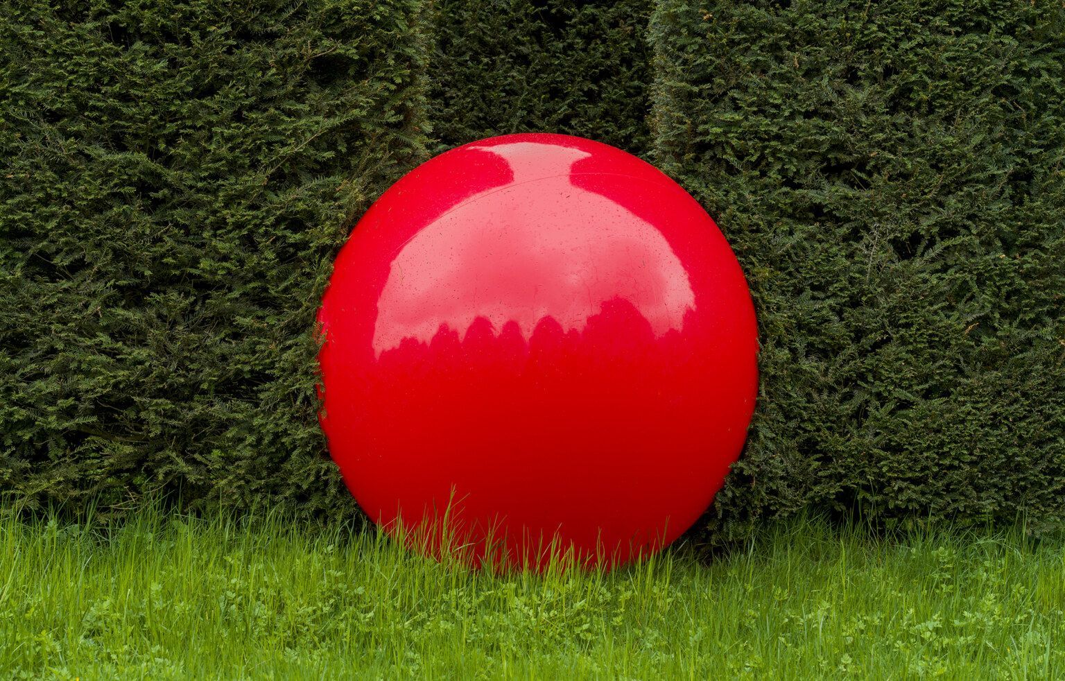 Andrin Winteler Megball